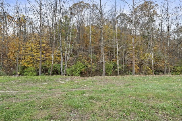 223 Sycamore Rd, Stanton, KY 40380 - view of yard with a forest view