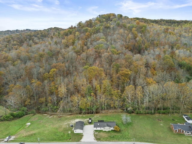 223 Sycamore Rd, Stanton, KY 40380 - drone / aerial view featuring a view of trees