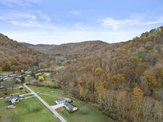 223 Sycamore Rd, Stanton, KY 40380 - drone / aerial view featuring a forest view and a mountain view
