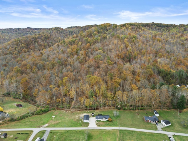 223 Sycamore Rd, Stanton, KY 40380 - aerial view featuring a forest view
