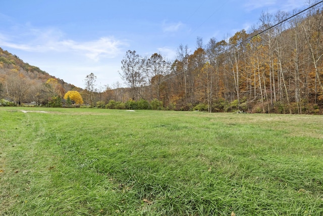 223 Sycamore Rd, Stanton, KY 40380 - view of yard featuring a wooded view and a rural view