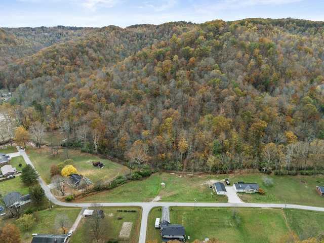 223 Sycamore Rd, Stanton, KY 40380 - aerial view featuring a forest view