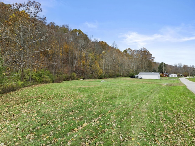 223 Sycamore Rd, Stanton, KY 40380 - view of yard featuring a view of trees