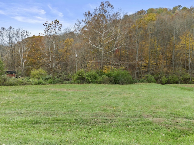 223 Sycamore Rd, Stanton, KY 40380 - view of yard with a wooded view
