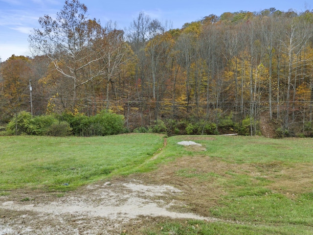 223 Sycamore Rd, Stanton, KY 40380 - view of yard with a forest view
