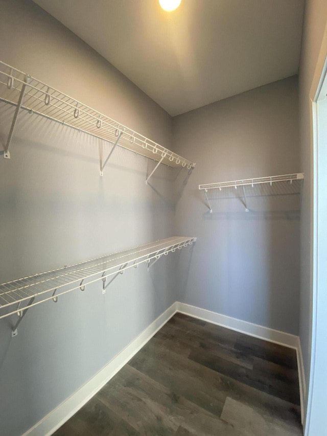 spacious closet with dark wood-type flooring