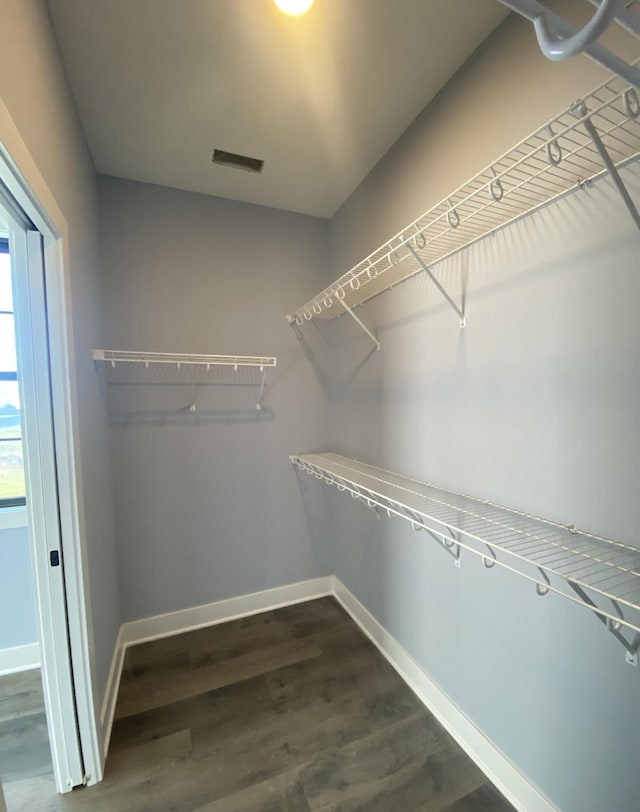 spacious closet with dark hardwood / wood-style floors