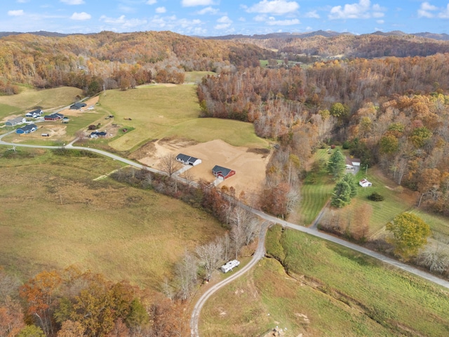 aerial view with a mountain view and a view of trees