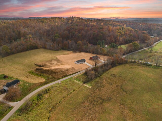 aerial view at dusk with a view of trees