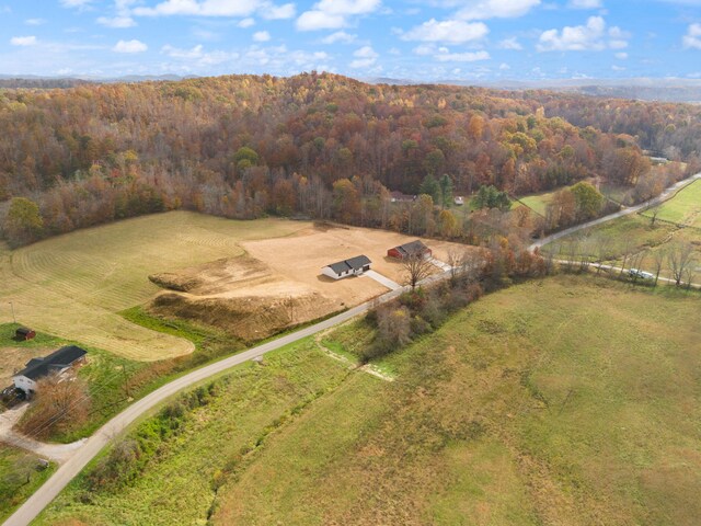 bird's eye view with a forest view