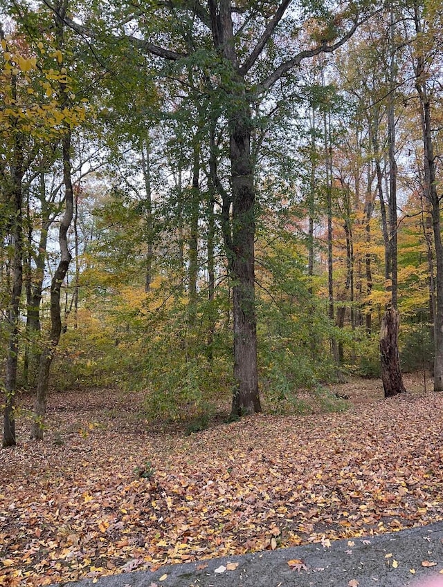 view of landscape