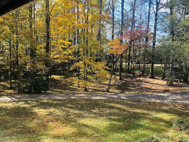 view of local wilderness