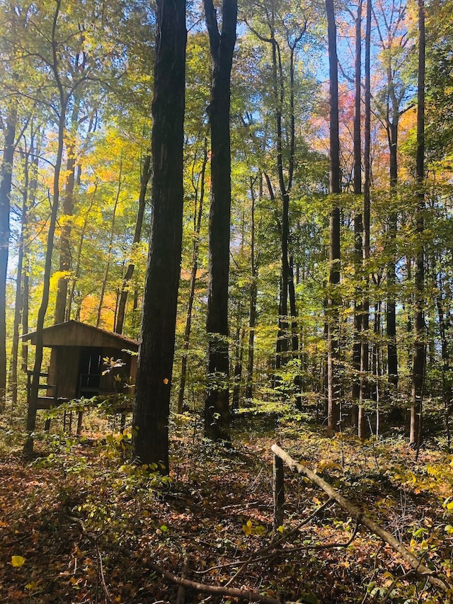 view of local wilderness