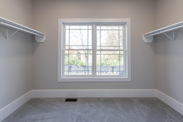 spacious closet featuring carpet floors