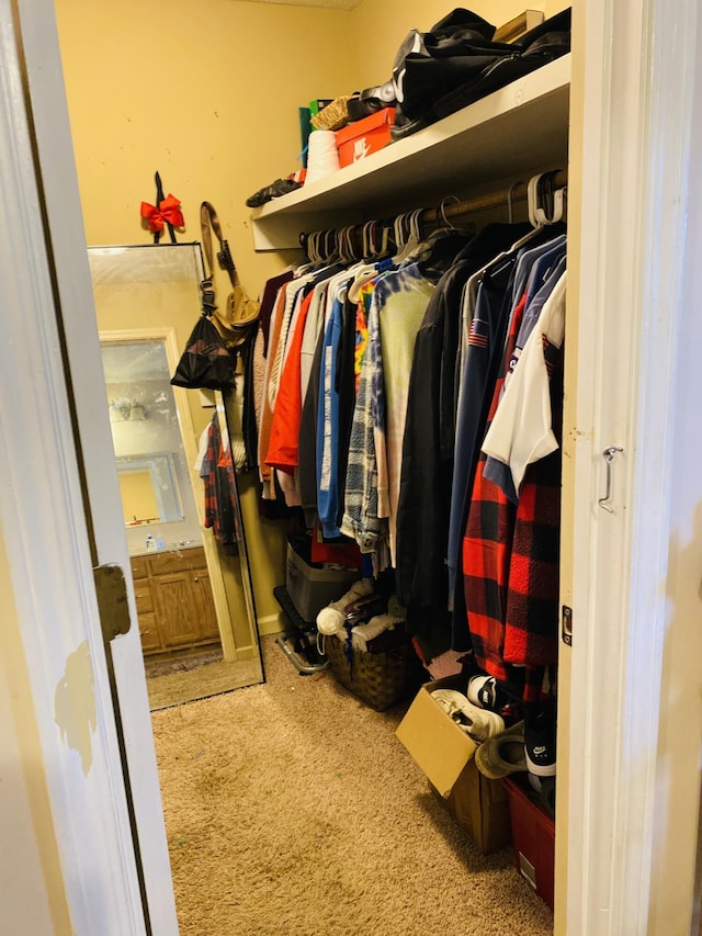 spacious closet with carpet floors