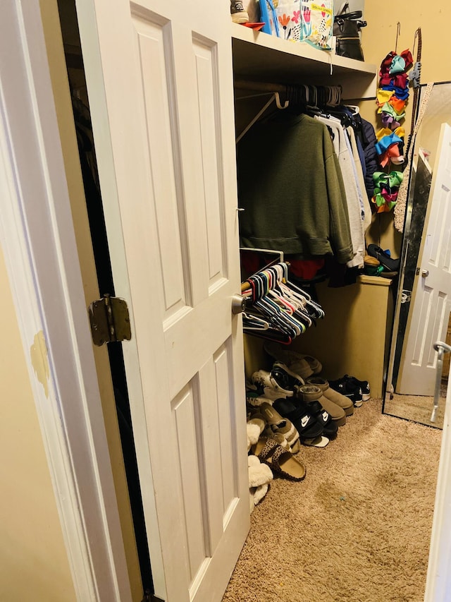 walk in closet with carpet