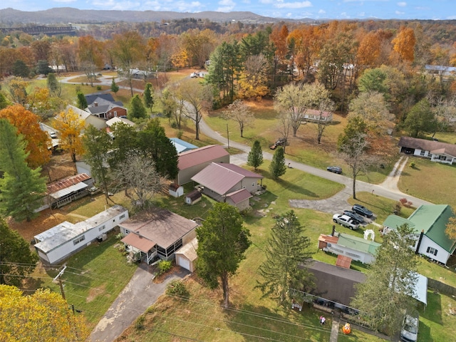 aerial view with a mountain view