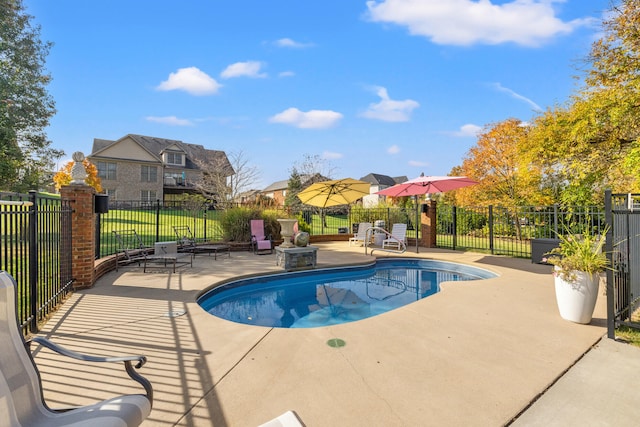 view of swimming pool with a patio area and a lawn