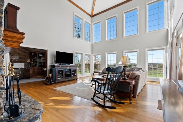 living room with high vaulted ceiling, ornamental molding, and light hardwood / wood-style flooring