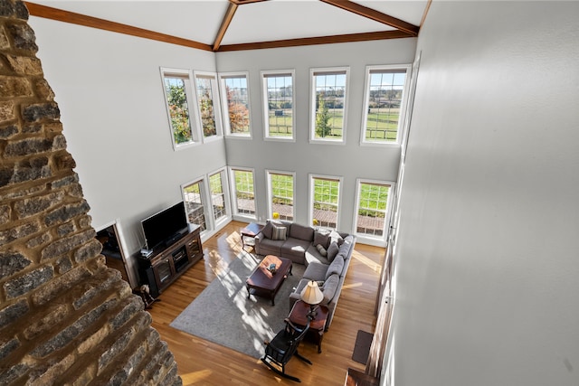 living room with high vaulted ceiling, light wood-type flooring, and a healthy amount of sunlight