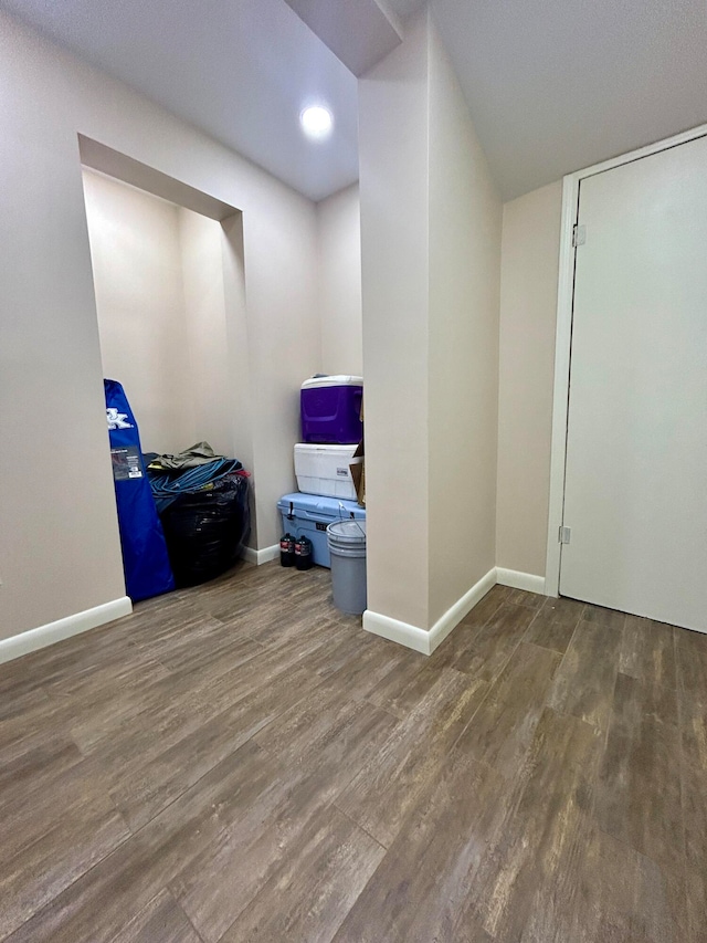 interior space featuring wood-type flooring