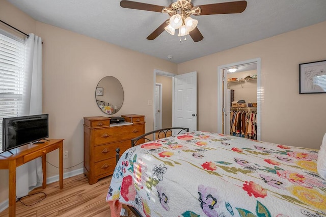 bedroom with a walk in closet, a closet, ceiling fan, and light wood-type flooring