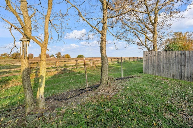 view of yard with a rural view