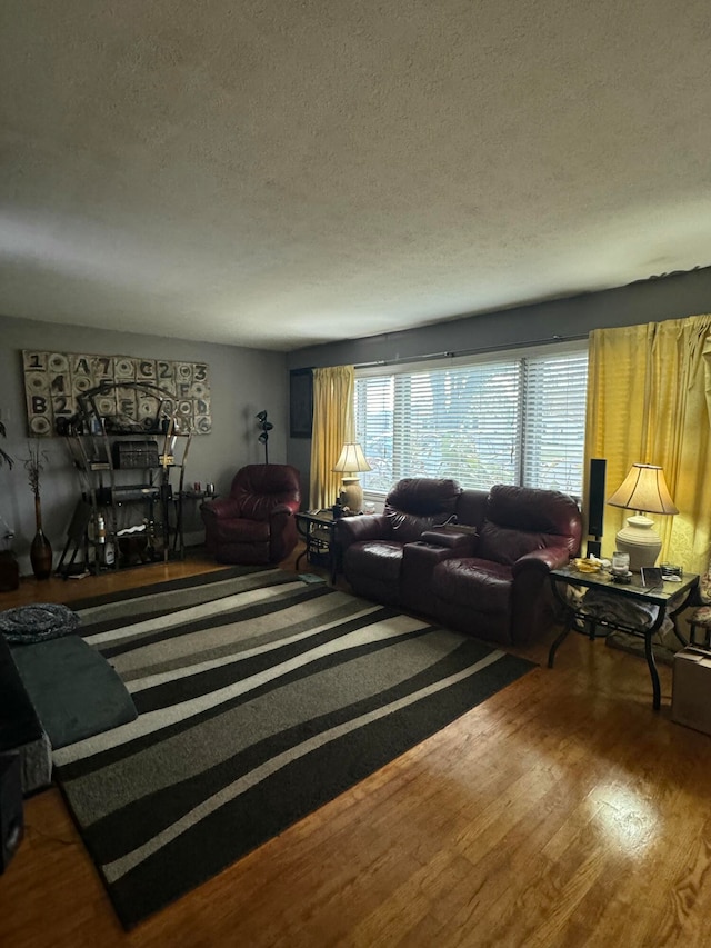 living room featuring a textured ceiling and wood-type flooring