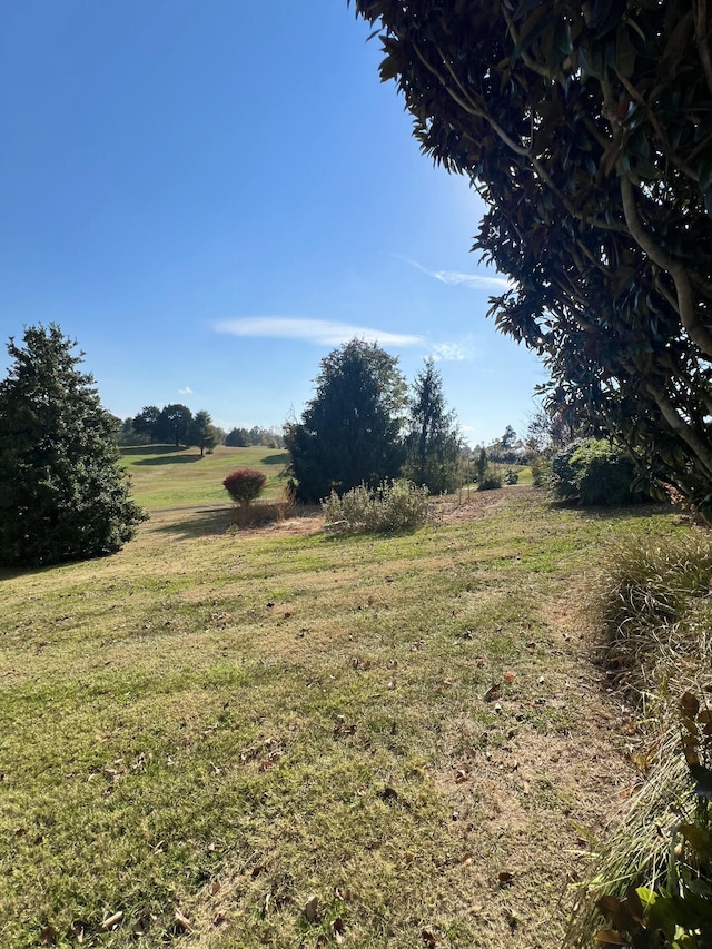 view of yard featuring a rural view