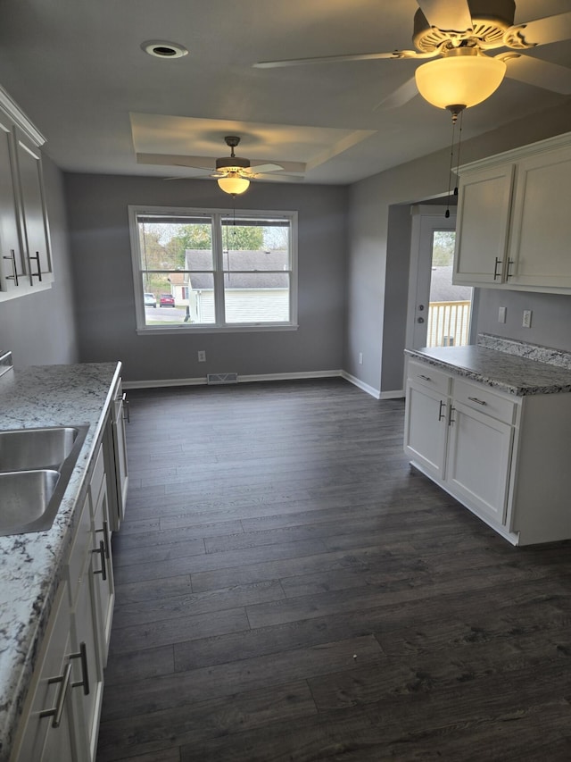 kitchen with white cabinets, sink, dark wood-type flooring, and a raised ceiling