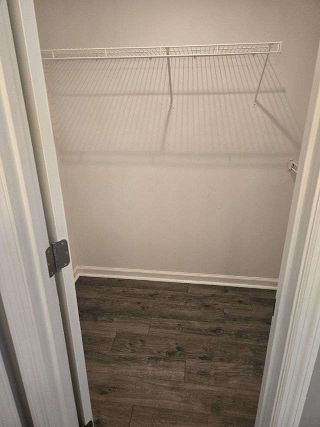 walk in closet featuring dark wood-type flooring