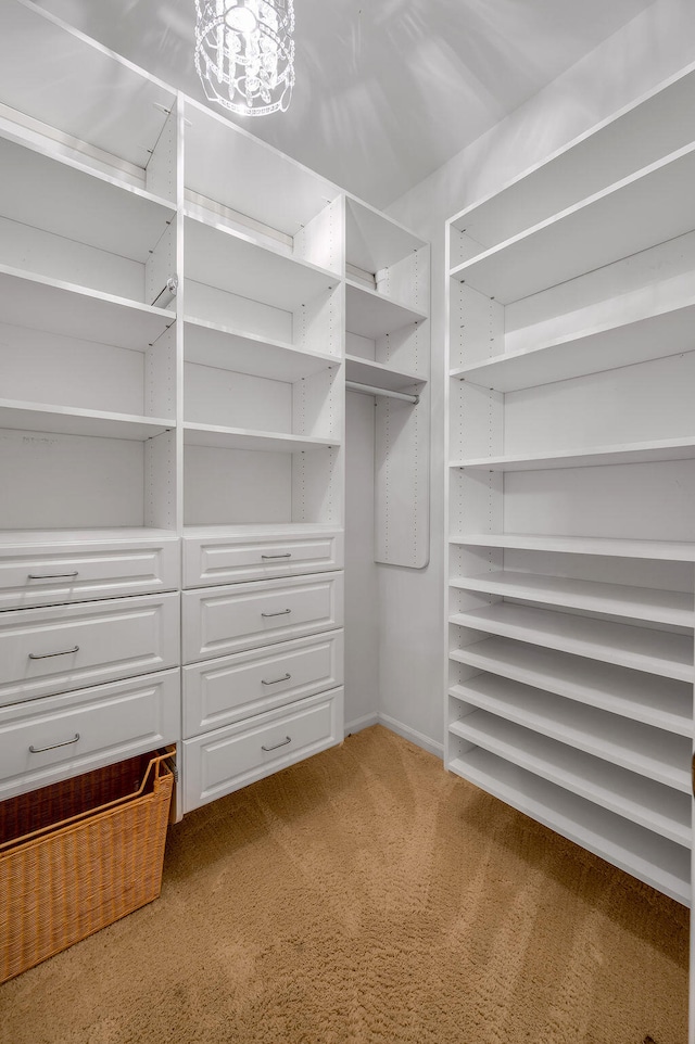 walk in closet featuring carpet floors