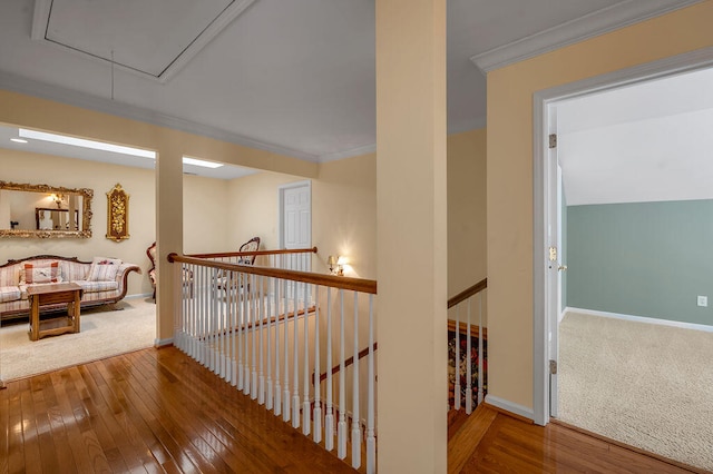 hallway with wood-type flooring and crown molding