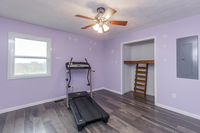 workout room with electric panel, ceiling fan, and dark hardwood / wood-style flooring