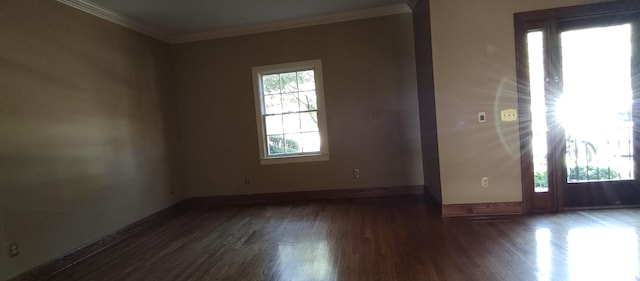 empty room featuring dark hardwood / wood-style flooring and crown molding