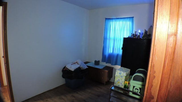 bedroom with dark hardwood / wood-style floors