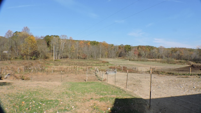 view of yard featuring a rural view