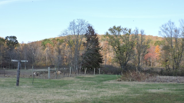 view of yard with a rural view