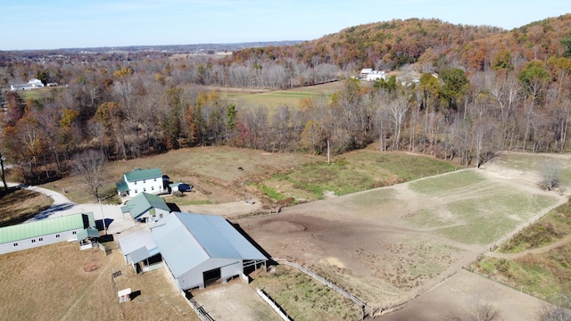 bird's eye view