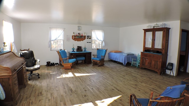 bedroom with multiple windows and hardwood / wood-style flooring