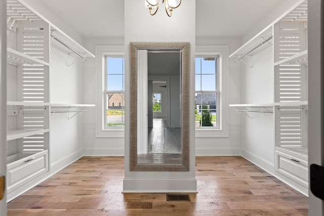 walk in closet featuring light hardwood / wood-style flooring