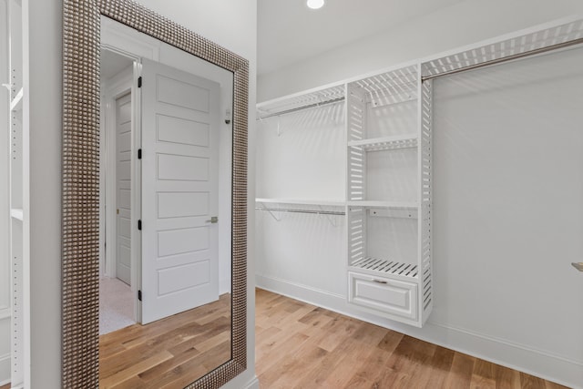 spacious closet with light wood-type flooring