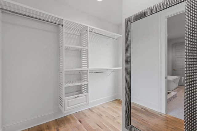 walk in closet featuring light hardwood / wood-style floors