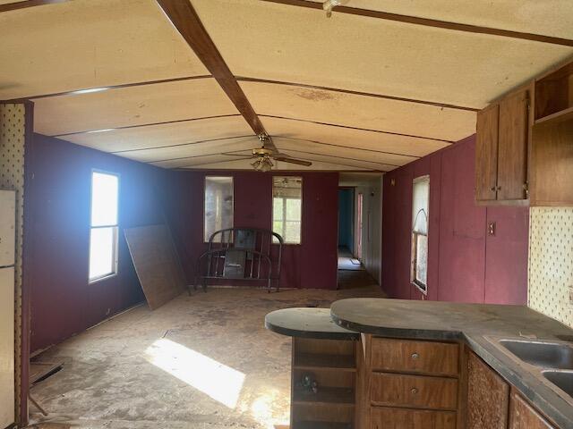 kitchen featuring plenty of natural light and ceiling fan