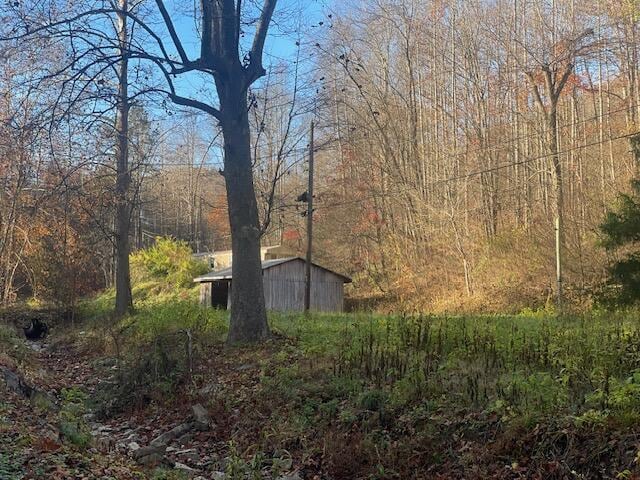 view of yard featuring an outbuilding