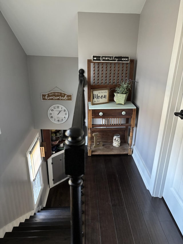 staircase featuring wood-type flooring