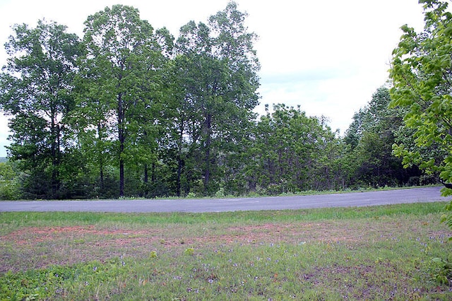 Listing photo 2 for LOT100 Cumberland Shrs, Monticello KY 42633