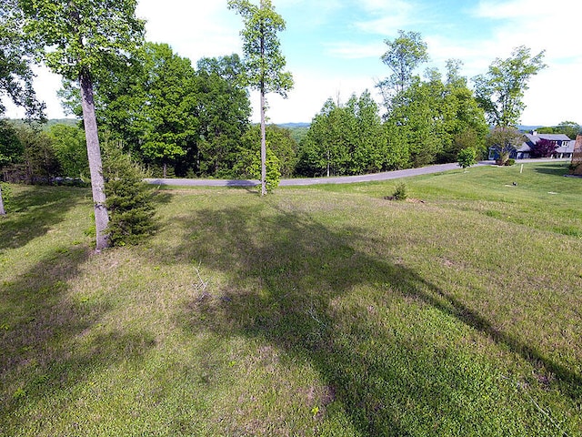 Listing photo 3 for LOT100 Cumberland Shrs, Monticello KY 42633