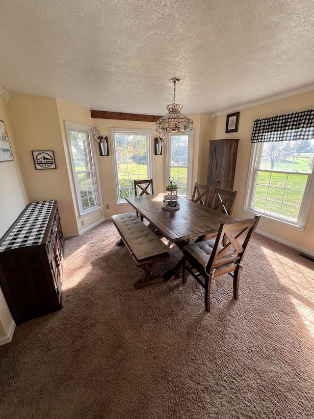 carpeted dining area with a textured ceiling