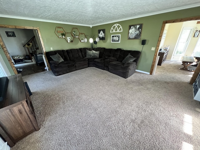 carpeted living room featuring crown molding and a textured ceiling